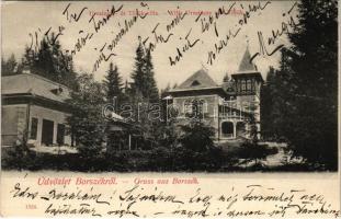 1905 Borszék, Borsec; Urmánczy és Török villa / villas, spa (EK)