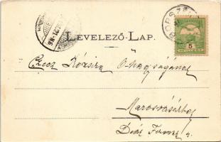 1905 Borszék, Borsec; Urmánczy és Török villa / villas, spa (EK)