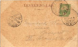 1902 Tusnádfürdő, Baile Tusnad; látkép. Adler Alfred fényképész / general view, spa (EK)