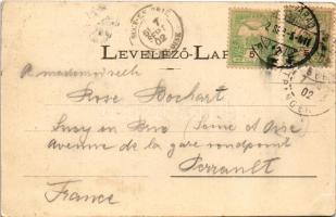 1902 Tenke, Tinca; Tenkei Gyógyfürdő. Lévy Dávid kiadása / spa, bath (EB)