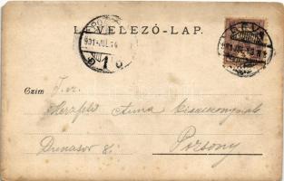 1901 Déva, Déva vára a múlt században / castle. photo (EM)