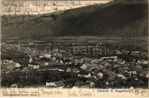 1903 Boksánbánya, Németbogsán, Deutsch-Bogsan, Bocsa Montana; látkép. Rosner Adolf kiadása / general view (EK)