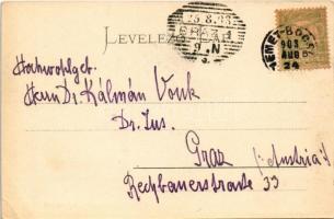 1903 Boksánbánya, Németbogsán, Deutsch-Bogsan, Bocsa Montana; látkép. Rosner Adolf kiadása / general...