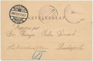 1900 Szinérváralja, Szinér-Váralja, Seini; tér, üzletek / square, shops (ázott / wet damage)