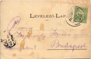 1904 Petrozsény, Petroseni, Petrosani; részlet a Szurduki szorosból. Herz Arnold és Grausam Károly k...