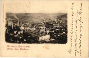 1901 Resicabánya, Resica, Resicza, Resita; vasgyár. Adolf Weiss kiadása / ironworks, iron factory (EK)