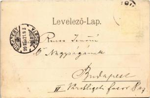 1899 (Vorläufer) Resicabánya, Resica, Resicza, Resita; látkép. Adolf Weiss kiadása / general view (E...