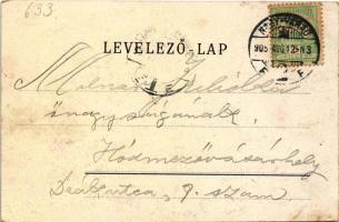 1905 Nagyvárad, Oradea; Új városháza, híd / town hall, bridge (EK)