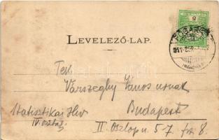 1911 Fogarasi-havasok (Fogarasi Kárpátok), Fogarascher Karpathen, Muntii Fagarasului; látkép. Fleiss...