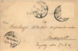 1904 Segesvár, Schässburg, Sighisoara; látkép. Petrovits kiadása / general view (EK)