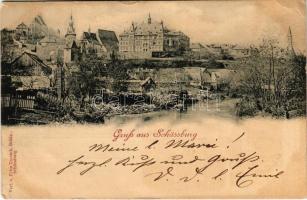 Segesvár, Schässburg, Sighisoara; látkép. Fritz Teutsch kiadása / general view (Rb)