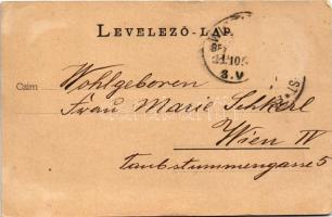 Segesvár, Schässburg, Sighisoara; látkép. Fritz Teutsch kiadása / general view (Rb)