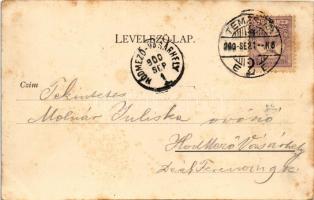 1900 Temesvár, Timisoara; Bega balsor. Králicsek Béla kiadása / Bega riverside (fl)