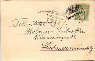 1902 Temesvár, Timisoara; látkép. Polatsek kiadása / general view (kopott sarok / worn corner)