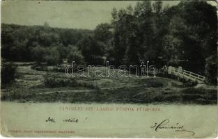 1902 Püspökfürdő, Szentlászlófürdő, Baile 1 Mai (Nagyvárad, Oradea); Park. Schwartz József kiadása / spa, park (kopott sarkak / worn corners)