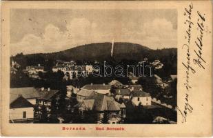 1908 Borszék, Borsec; látkép / general view, spa (EK)