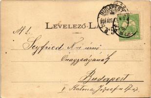 1908 Borszék, Borsec; látkép / general view, spa (EK)