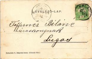 Stájerlak, Steierlak, Stájerlakanina, Steierdorf, Anina; Bozovicsi út. Hollschütz F. kiadása / Bozov...