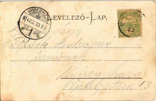 1904 Stájerlak, Steierlak, Stájerlakanina, Steierdorf, Anina; Nyaraló. Hollschütz F. kiadása / Somme...