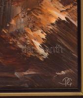 Papp Gábor (1936-): Casa di Casanova (Velence). Olaj, fa, jelzett a hátoldalán. Hátoldalán A&SZ ...