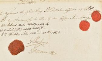 1850 3 db latin nyelvű dokumentum, nemesi és osztrák címeres viaszpecsétekkel, a benedekfalvi Kiszel...