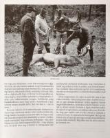 Fáczányi Ödön (szerk.): Millenniumi Vadászati Almanach, Magyarország 2001. Bp., 2001, Dénes Natur Mű...