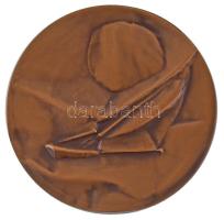 Kiss Nagy András (1930-1997) 1971. "Magyar Vitorlás Szövetség" kétoldalas bronz díjérem "International Balaton Siling Week 1971. - II." gravírozással (80mm) T:AU,XF