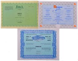 1989-1992. 6xklf magyar részvény tétel, egy kivételével mindegyik szelvényekkel, közte "Publica Kulturális és Kiadói Rt., Győri Textilművek Rt., Transteam Rt., Thermál Invest Rt., S-Komplex Rt." T:AU