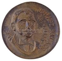 1971. &quot;Juhász Balázs Gyűjtő Klub Orosháza 1971 / Juhász Balázs 1874-1930&quot; bronz emlékérem (88mm) T:XF patina