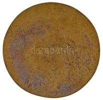1983. "Ózd - 50km Gyalogló Magyar Bajnokság" öntött bronz plakett (110mm) T:XF