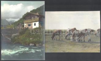cca 1920-1930 Vidéki életképek, 2 db kézzel színezett fotó, 14×21 cm