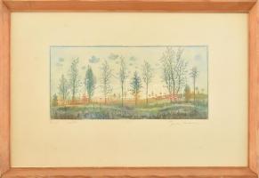 Gross Arnold (1929-2015): Búcsú a nyártól. Színes rézkarc, papír, jelzett, próbanyomat próba jelzéssel, üvegezett fakeretben, néhány kevés apró folttal, 13,5×25 cm