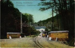 1918 Pozsony, Pressburg, Bratislava; Vaskutacska, Ferdinánd király vasfürdő, korai trolibusz / Eisenbrünnel (Eisenbründl) / Zelezná Studénka / spa with early trolleybus (EB)