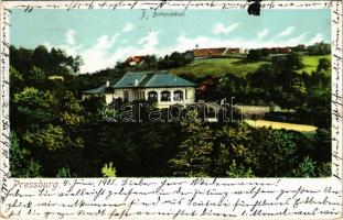 1905 Pozsony, Pressburg, Bratislava; II. Bimbóház étterem, nyaraló / II. Batzenhäusel / restaurant, villa (EK)