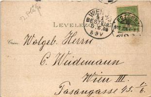 1905 Pozsony, Pressburg, Bratislava; II. Bimbóház étterem, nyaraló / II. Batzenhäusel / restaurant, ...