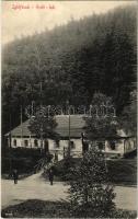 1915 Iglófüred, Bad Zipser Neudorf, Spisská Nová Ves Kupele, Novovesské Kúpele; Erdő lak. Wlaszlovits Gusztáv kiadása / villa (EK)