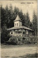 Iglófüred, Bad Zipser Neudorf, Spisská Nová Ves Kupele, Novovesské Kúpele; Üstökös villa. Wlaszlovits Gusztáv kiadása / villa (r)