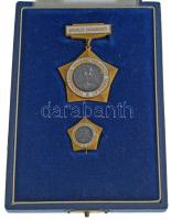 ~1970. "Kiváló dolgozó - Tudományos Ismeretterjesztő Társulat (TIT)" aranyozott, műgyantás...