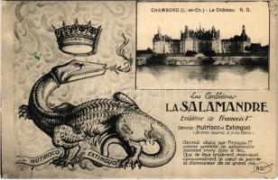 Chambord, Le Chateau, La Salamandre emblema de Francois I. / castle, Francis I's salamander