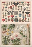 cca 1890-1900 össz. 14 db klf. témájú színes térkép (Osztrák-magyar monarchia politikai áttekintő és...