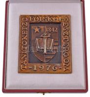 1976. "Tanítóképző Főiskola Esztergom" bronz plakett, dísztokban (101x86mm) T:AU