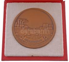DN "Dunaújváros / 1950" bronz emlékérem eredeti tokban (70mm) T:AU
