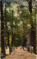 1924 Stubnyafürdő, Túróchévíz, Stubnianske Teplice, Turcianske Teplice; Park Allee / Sadová alej / Park sétány / park promenade (EK)