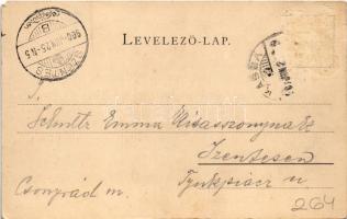 1900 Kassa, Kosice; Csermelyvölgyi kioszk. Szent-Istványi Júlia kiadása / kiosk, restaurant (EM)