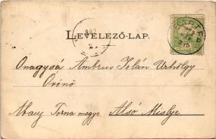 1903 Bártfa, Bártfafürdő, Bardejovské Kúpele, Bardiov, Bardejov; Erzsébet lak, Anna lak, Viszontlátá...