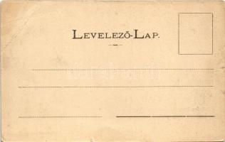 Fenyőháza, Lubochna; Fátra szálloda. Sochán P. kiadása / hotel (EB)