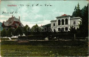 1911 Fenyőháza, Lubochna; nyaralók / villas (EK)