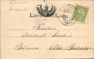 1900 Fenyőháza, Lubochna; látkép. Wlaszlovits Gusztáv kiadása / spa, general view (EK)