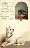 1900 Cat and dog. litho (EK)