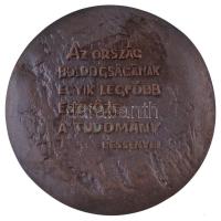 DN "Bessenyei György Tanárképző Főiskola Nyíregyháza" kétoldalas bronz plakett. Szign.: Be...